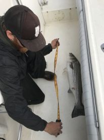 Wonderful trip with captain Chris