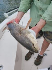 Great August Everglades Light Tackle with Dan