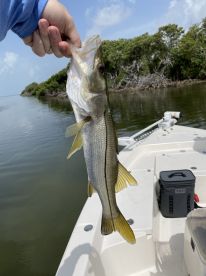 Half day with Captain Phil 