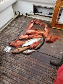 September fishing trip