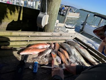 December fishing trip