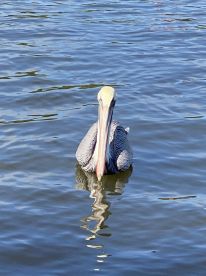 Unforgettable trip!!