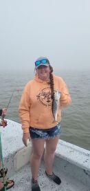 Half Day inshore Trip