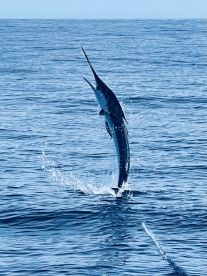 Fishing with Aristeo