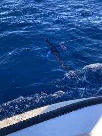 Fishing with Juan Rojo