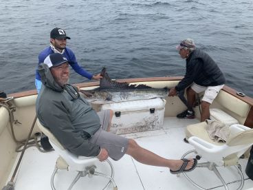 Full Day White marlin 