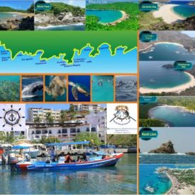 Half day trip was amazing