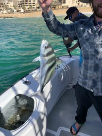 Half Day All The Way