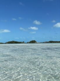 Half day with Dwayne.