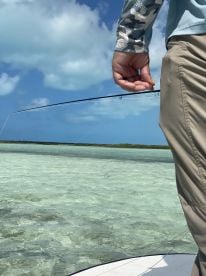 Half day with Dwayne. 