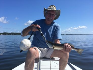 Trout and more trout to come!