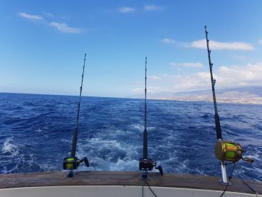Half day fishing trip in tenerife