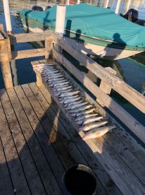 Walleye run with Scaled up sport fishing