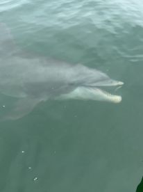 Half day trip with Captain Todd