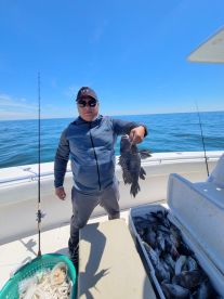 Fishing for sea bass