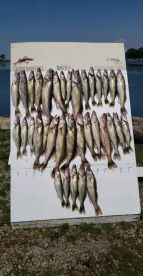 Great time fishing for Walleye 