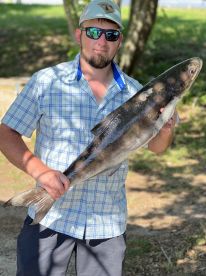 This Captain put you on the Fish! 