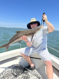 This Captain put you on the Fish! 