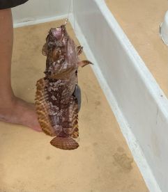 Day Family Fishing Trip with Captain Sunny