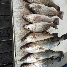 Half day trip with Captain Jeremy