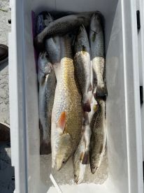 Fishing trip of excellence!!!