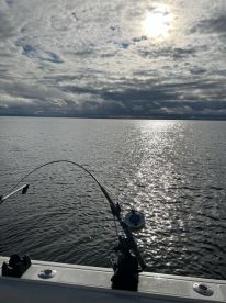 Half day with Chris was amazing! Just the vacation needed