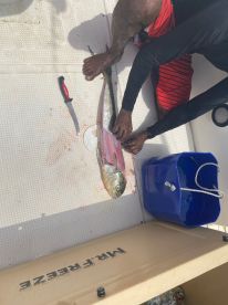 Great Trip With Abu & Rex