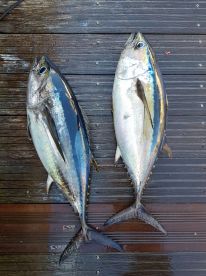 Unforgettable experience 