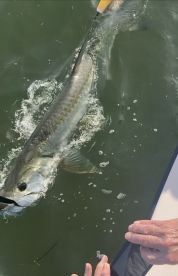 Half day trip with Captain Matt 