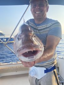 Great half day trip with Skipper Boris