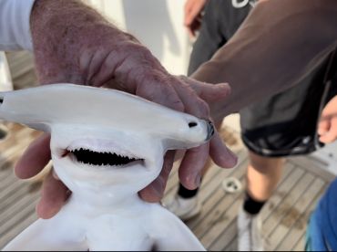 4hr trip with Capt. David. Highly Reccomend ⭐️⭐️⭐️⭐️⭐️