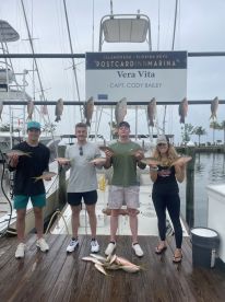 3\/4 Day with Vera Vita, Definitely Recommend