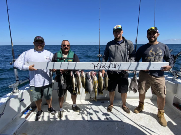 Half a day with Captain Dan!