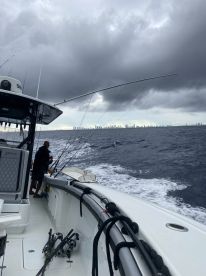 Full day trip with Captain Maurice 