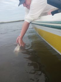 Fishing with Seabbatical