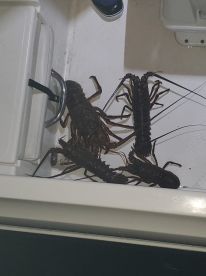 November fishing trip