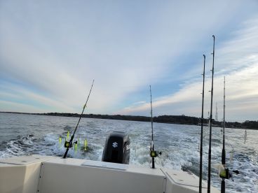 Half day trip creating memories!