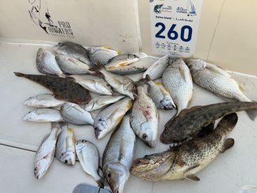 6 Hour trip with captain Mohammad 