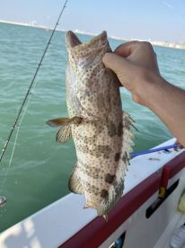 6 Hour trip with captain Mohammad 