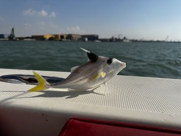 6 Hour trip with captain Mohammad 