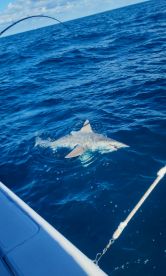 Half day with captain John! 