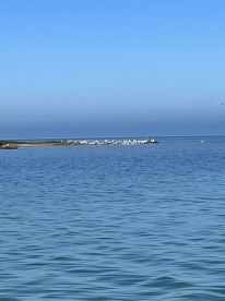 This was a great experience, I’m from Colorado and this was an awesome adventure!! Highly recommend. 