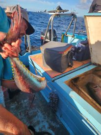 8hr Family Chartered Trip