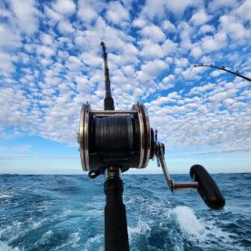 Full day trip with Afonso