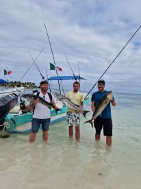 Great day out, more fish than the other boats 👌