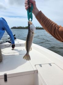 1\/2 Day Trip with Captain James Daughtery