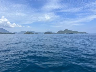 Half day with infinity charter