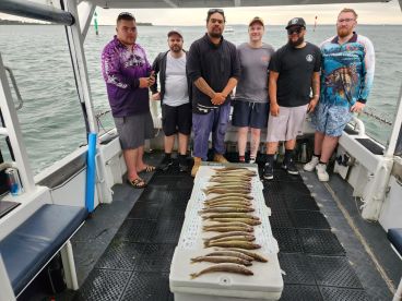 Looked after like royalty