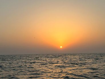 Very nice time spent on Board, our catch was prepared at the fishtails restaurant nearby which ww linked as well.