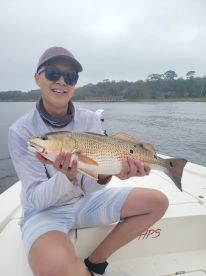 Phenomenal experience